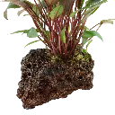 Image - 108A YKS2.webp