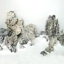 Image - MJDRA-1-019 2.webp