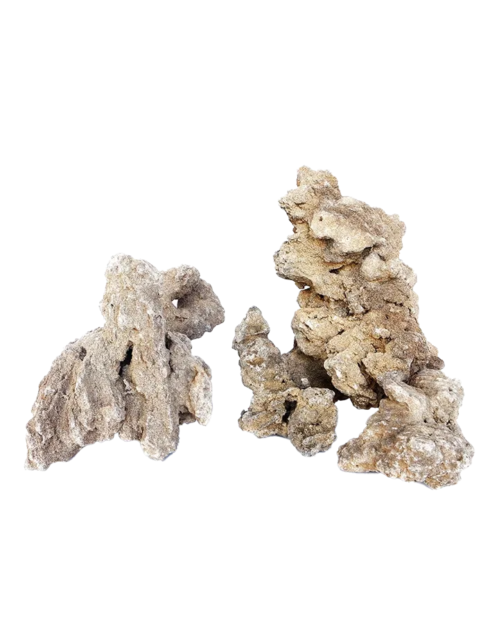 Image - MJDRA-1-163.webp