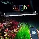 Chihiros-WRGB-II-LED-_Built-in-Bluetooth_-Mobile-app-Control-Sunrise-and-Sunset-Modes-Built-in-Multiple-Modes-Customized-Modes-High-Intensity-Helps-Plants-Show-Color-Chihiros-Aquatic_b3cfc45a-0429-4dd2-80a7-0a3685d.webp
