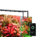 Chihiros-WRGBII-SLIM-EDITION-_Built-in-Bluetooth_-Mobile-app-Control-Sunrise-and-Sunset-Modes-Built-in-Multiple-Modes-Customized-Modes-High-Intensity-Helps-Plants-Show-Color-chihiros_e221ddaa-d92c-4596-aa60-24ac2c2.webp