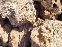 wio_stones_paleorock_texture.webp