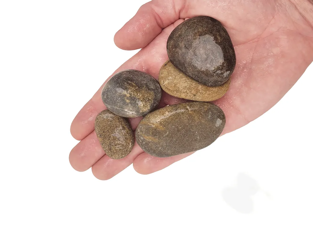 wio_gravel_elderly_hand_L.webp