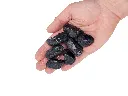 wio_gravel_blackvenom_hand_L.webp