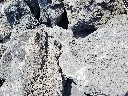 wio_hardscape_stones_darwinblacklava.webp