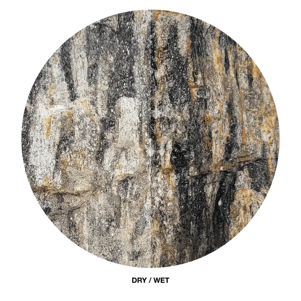 wio_stones_fossilwood_drywet.webp
