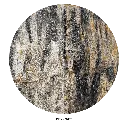 wio_stones_fossilwood_drywet.webp