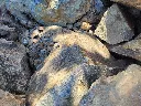 wio_stones_bumblebee_texture.webp