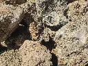 wio_stones_web_texture.webp