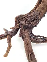 TEXTURA_BONSAI.webp