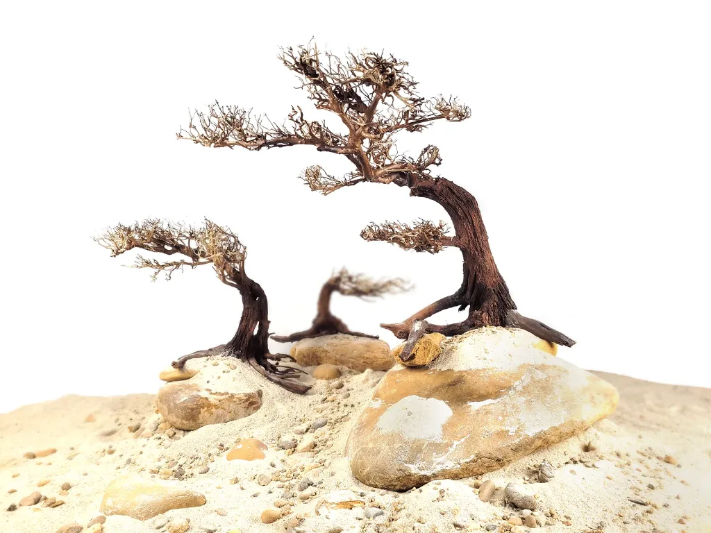 bonsai.webp