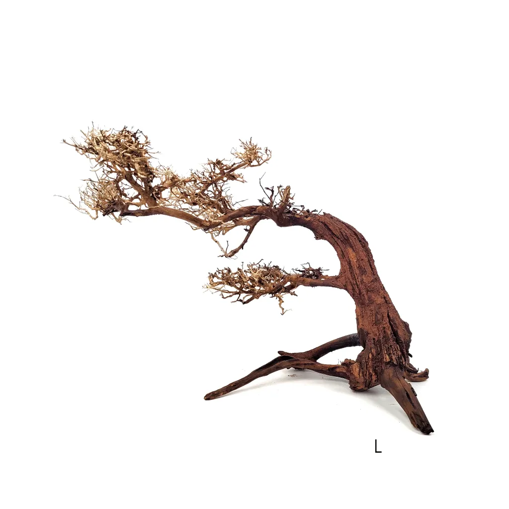 wio_arboretum_bonsai_L.webp