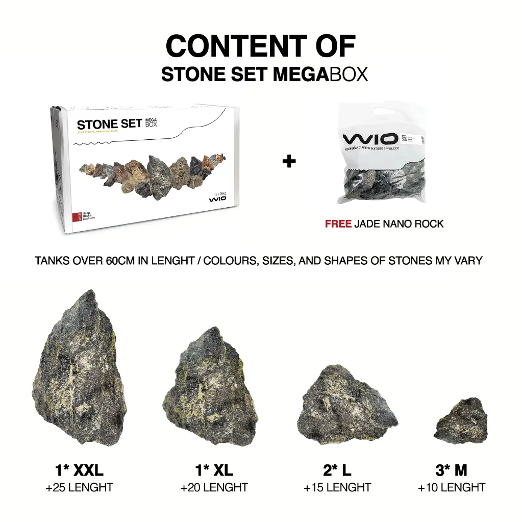 STONE-SET-MEGA-BOX_ab62b681-a491-46cc-97e5-1ce172994868.webp