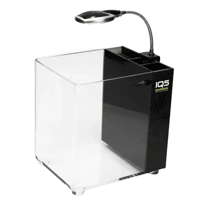 dyman-IQ5-tank_1024x1024_e3a61248-58d9-4dca-8cca-3b6e7236449f.webp
