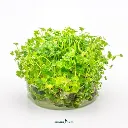 imagegen.ashx_3669b451-a7b7-4f77-b845-1d33ea1e0bbc (1).webp