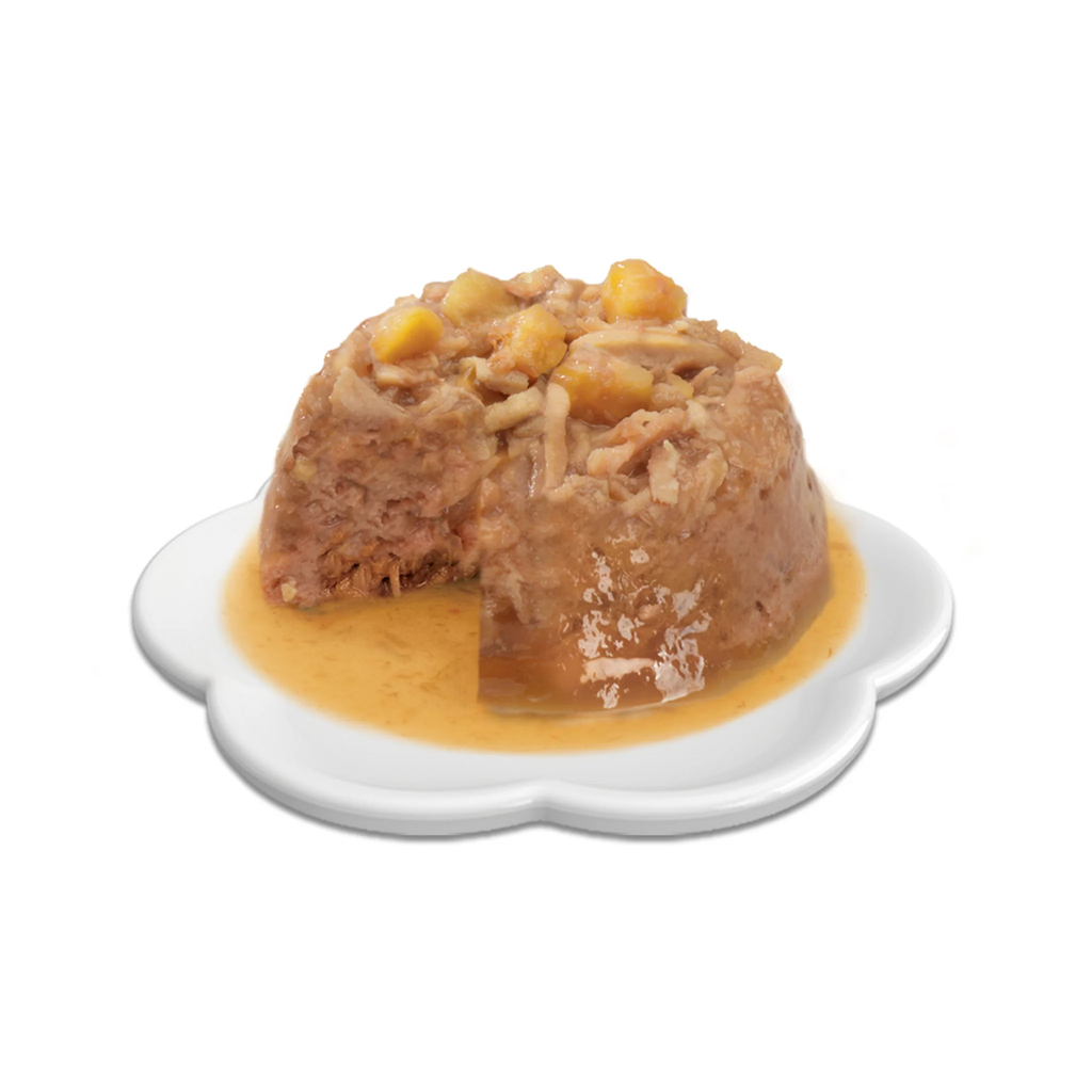 49221.png.webp