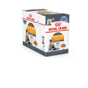 26596.png.webp