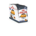 26594.png.webp