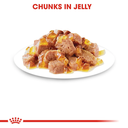 26597.png.webp