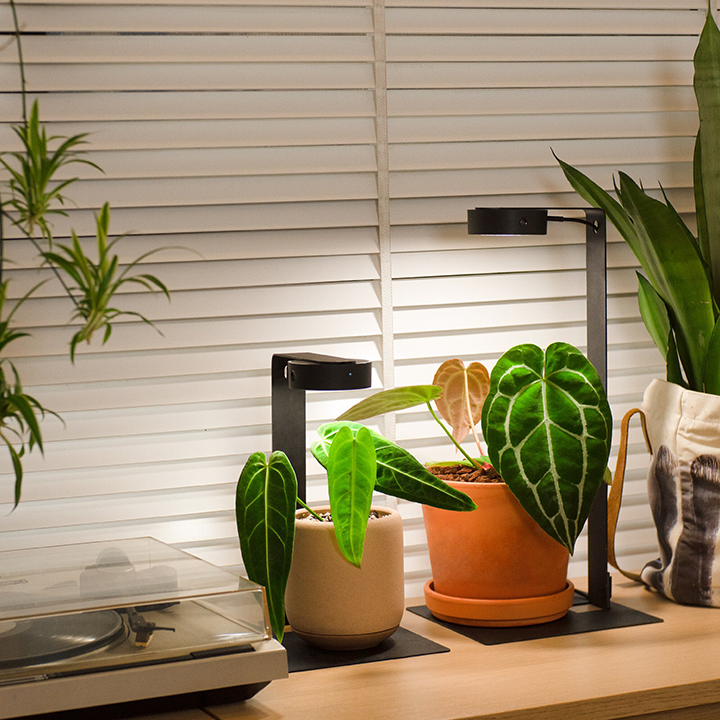 Image - MIST090000-B