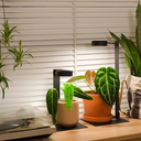 Image - MIST090000-B