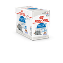 26482.png.webp