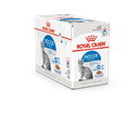 26501.png.webp