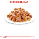41147.jpg.webp