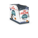 49541.png.webp