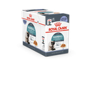 49539.png.webp
