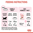 36818.png.webp