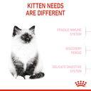 36816.png.webp