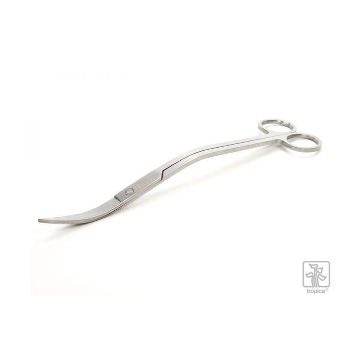 Tropica scissors2.webp