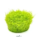imagegen.ashx-3_1f3dece1-58c4-4771-bc07-ffde4a6e87ba.webp