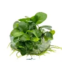 imagegen.ashx-5_bde1fd98-0a0c-4630-8397-e183f19b0355.webp