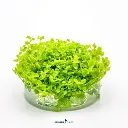 imagegen.ashx-3_8994b01a-23d8-47e3-b7b4-5f98d162e2a5.webp