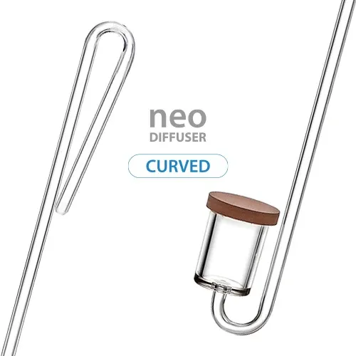 curved-original-large.webp