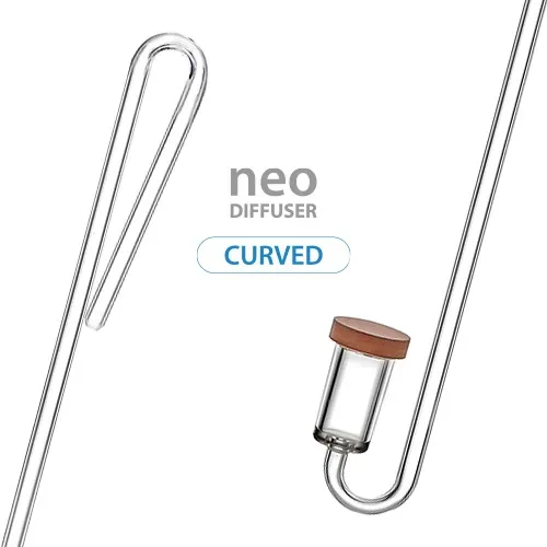 curved-original-medium.webp