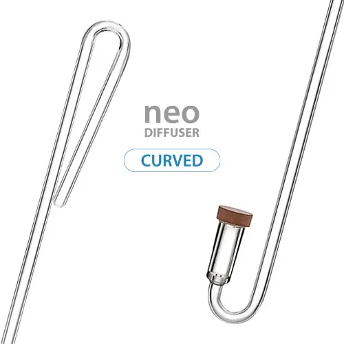 curved-original-small.webp