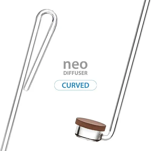 curved-special-large.webp