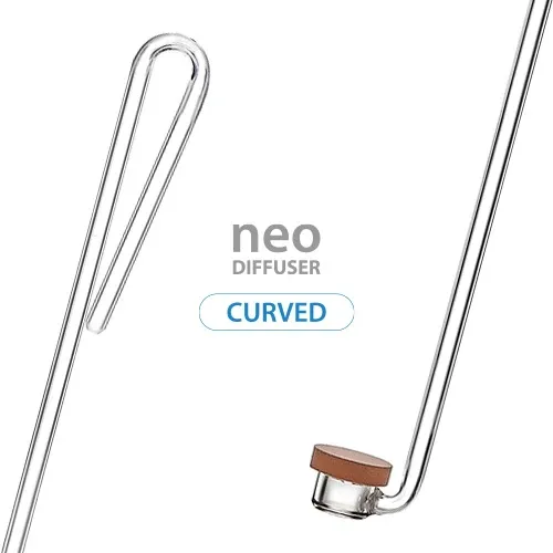 curved-special-medium.webp