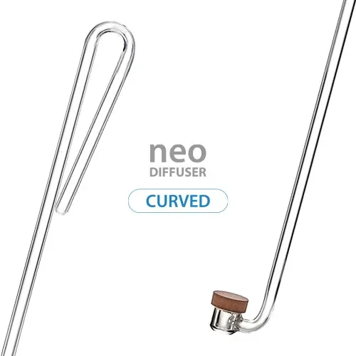 curved-special-small.webp
