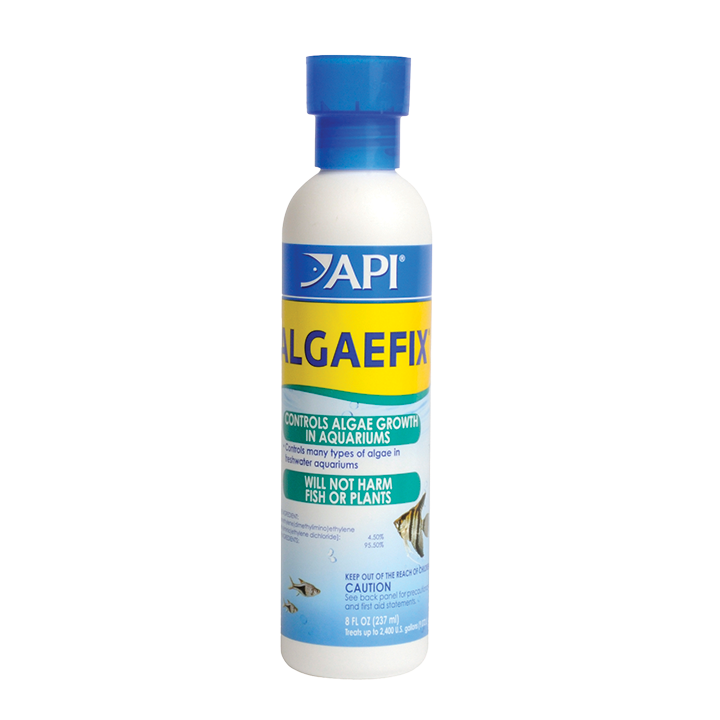 APIALGAEFIX8.webp