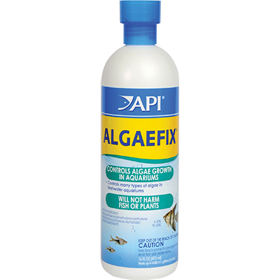 api-algaefix-16.webp