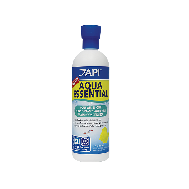 ai423e.webp