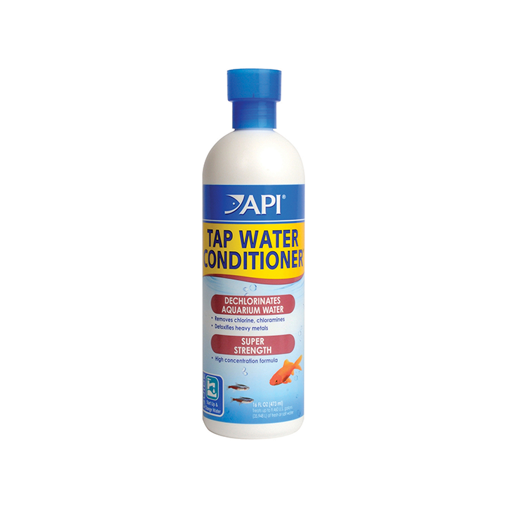 52c_1.webp