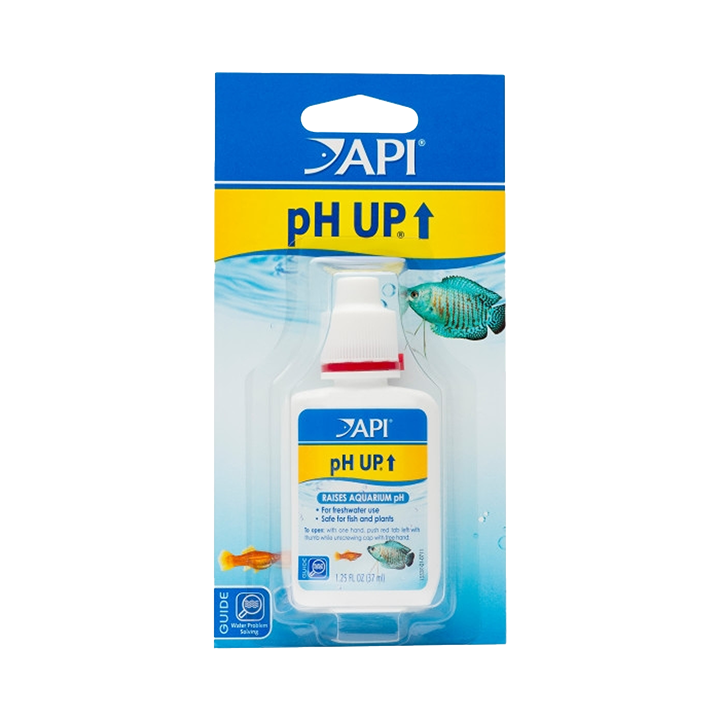 31a_1.webp