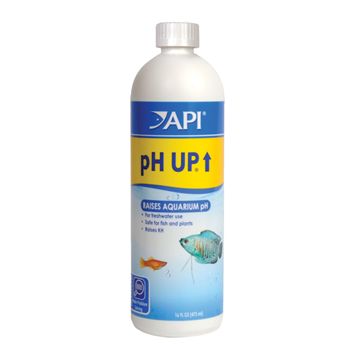 31b_1.webp