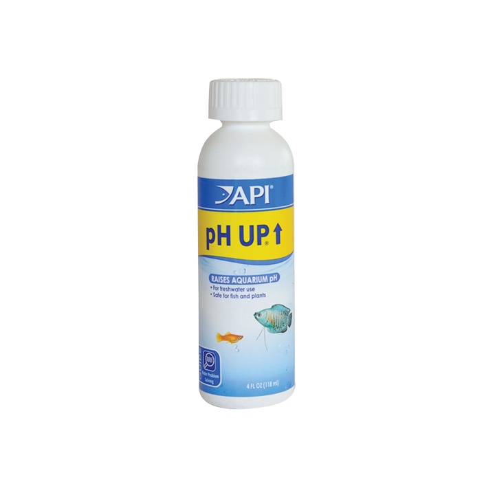 31c_1.webp