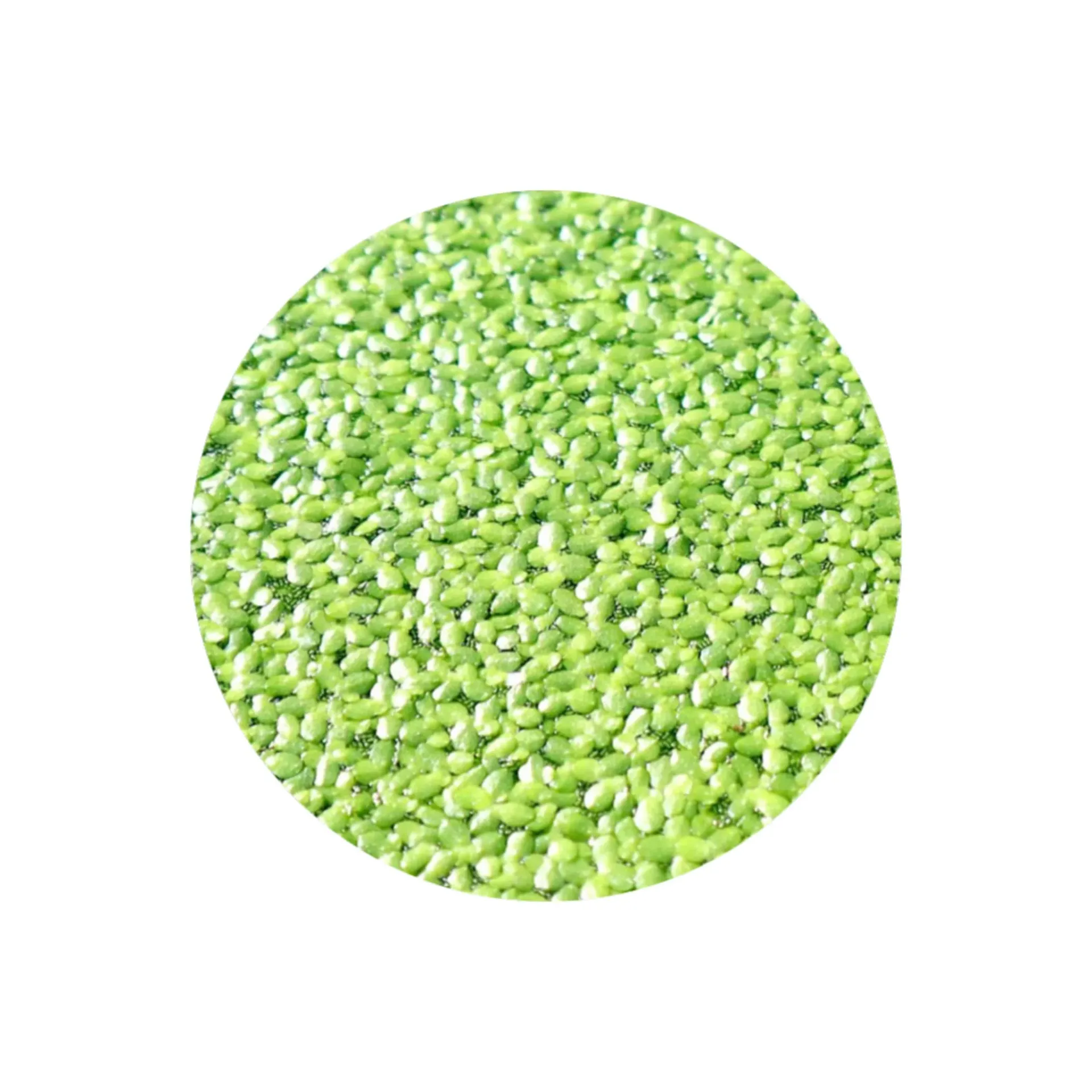 [AG-D206] AG | Duckweed - Portion